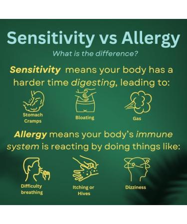 At-Home Allergy Test - 295 Triggers | Accurate & Fast Results Ship Worldwide - Buy Online on GoSupps.com