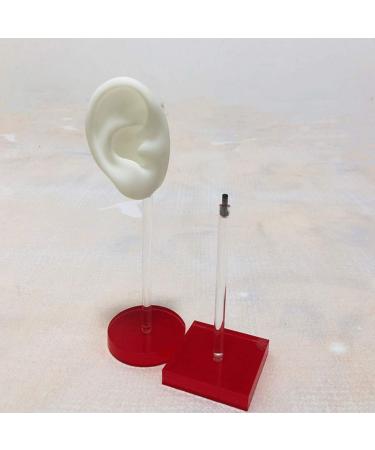 Buy Silicone Ear Mold Practice Tool - Acupoint Learning & Simulation Ear Model for Auditory Meatus | International Shipping Available - Buy Online on GoSupps.com