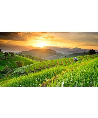 Indigo Herbs Organic Whole Rice Flour 1kg (Organic Brown Rice Flour) - Buy Online on GoSupps.com