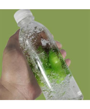 LAMELLIS Beans Bottle Cleaner Bottle Cleaning Sponge Beans-Shaped Bottle Cleaning Sponge Reusable Bottle Cleaning Sponge Easy to Use Green - Buy Online on GoSupps.com