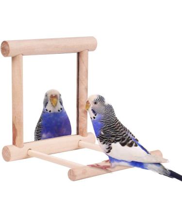 2Pcs Bird Mirror & Swing Toy for Budgies, Parrots, Love Birds - Fun Playtime in Cage - Buy Online on GoSupps.com