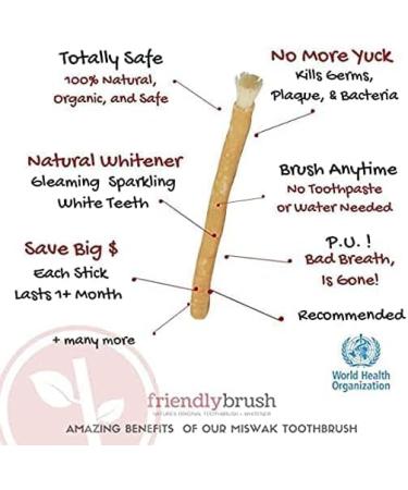 Organic Miswak Sticks for Teeth - Natural Chewing Sticks | Pack of 12 | Cleaning Disinfecting & Whitening - Buy Online on GoSupps.com