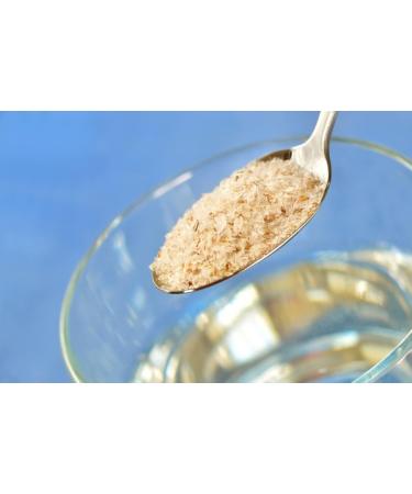 Plantago Ovata Husk | Plantaginis Ovatae Seminis Tegumentum | Psyllium Blond T guments | Health Embassy (200g) - Buy Online on GoSupps.com