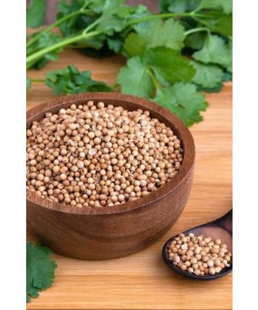TRS Dhania Whole | 100G | Coriander Seeds |Essential Ingredient for Variety of Dishes |Whole Coriander Seeds | High Fibre | High Protein | Indian Origin - Buy Online on GoSupps.com
