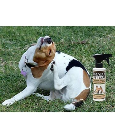 Banixx Pet Care 8oz - Fungal & Bacterial Infection Treatment for Pets - Buy Online on GoSupps.com
