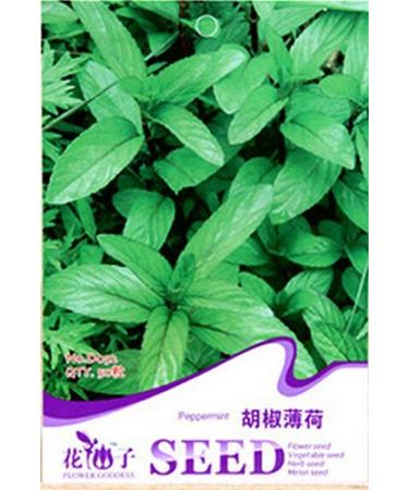 50 semi/Bag Mentha piperita semi arvensis selvatiche Menta Acqua Menta semi di vaniglia imballaggio Originale