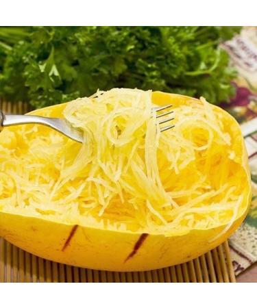 Portal Cool Zucchini Zucca Spaghetti zionale F1 semi gialli organici Ucraina 6 Pezzi