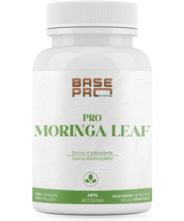PRO Moringa Leaf Capsules - 120 CAPSULES | Moringa Leaf 1200mg per Serving | Base Pro Nutrition | 120 Vegetarian Capsules | Pro Moringa Leaf Powder | MORINGA - Buy Online on GoSupps.com