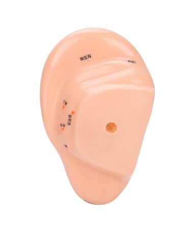 Buy Anggrek Ear Acupuncture Model - Effective Ear Massage & Acupuncture Points Kit for Home Use - International Shipping Available - Buy Online on GoSupps.com