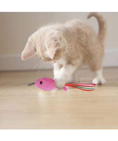 5Pcs Catnip Toy Set - Interactive Pink Fish & Feather Teaser for Kittens | Catnip Filled Plush Toys for Teething Chew Cat Wand Accessories - Buy Online on GoSupps.com