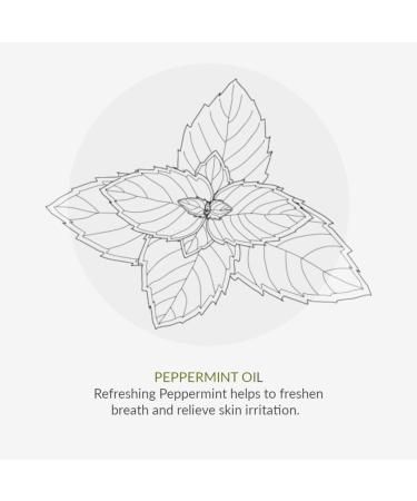 Green People Hydrating After Sun 200ml | Natural Organic After Sun Lotion | Hydrating Body Cream to Prolong Tan | Featuring Soothing Aloe Vera Cooling Mint & Calming Chamomile | Vegan Cruelty Free Peppermint 200 ml (Pack of 1) - Buy Online on GoSupps.com