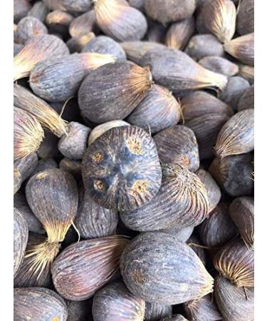 Ikines Hand for OSHA Ifa Santeria.