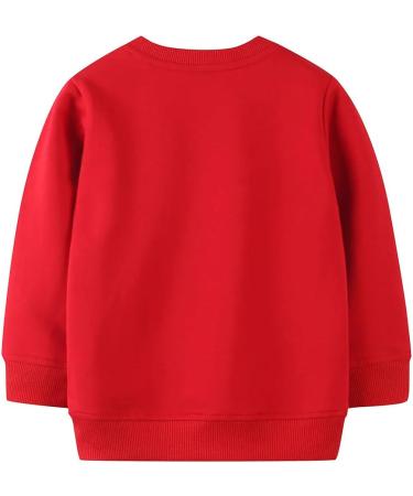 Boys Dinosaur Sweatshirt | Cotton Long Sleeve Pullover | Kids Casual Top | Toddler Girls Shirts | Baby Clothes 1-8 Years | Christmas Elk Design | 5-6 Years - Buy Online on GoSupps.com