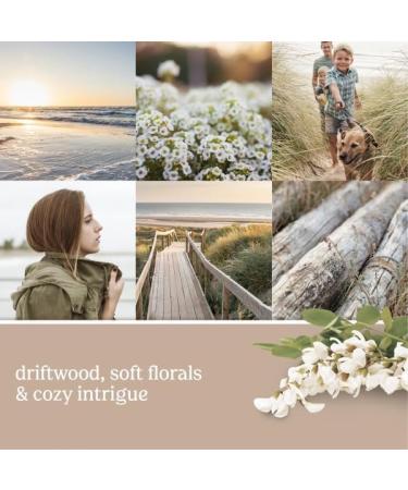 Yankee Candle Seaside Woods Electric Scent Plug Refill - Pack of 4 | International Shipping Available - Buy Online on GoSupps.com