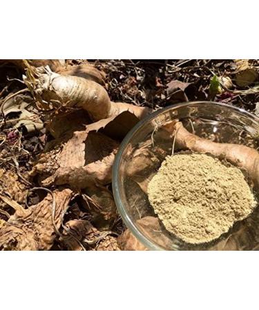 Natural or Nothing Mulondo Mondia Whitei Root Powder (250 grams) - Buy Online on GoSupps.com