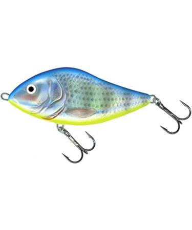 Salmo Wobbler Slider 10cm 36g Floating Lure - Real Roach - International Shipping Available - Buy Online on GoSupps.com