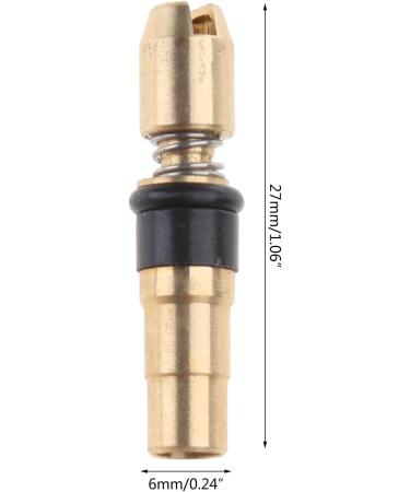 Haveratio TINGB Three Stage Piston Head High Pressure Copper Head 6mm Pump - 30MPa Repair Parts for International Shipping - Buy Online on GoSupps.com