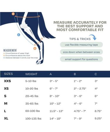 Balto Jump CCL Brace for Dogs - Large Left Leg Knee Support with Aluminum Splints - Pre/Post Surgery Injury Prevention - Buy Online on GoSupps.com