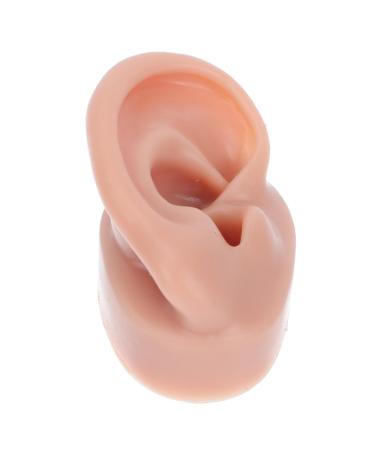 1pc Human Ear Model Piercing Model Piercing Ear Model Simulation Piercing Ear Model Ear Model for Studs Wearing Ear Model Ear Mold Ear Display Model Fake Ear Model Right