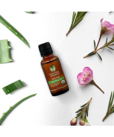 Paradise Springs Organic Tea Tree Essential Oil 100% Pure and Natural Organic Tea Tree Essential Oil for Diffusers for Home Aromatherapy Massage Humidifiers 1 fl oz (30ml) Organic Tea Tree 1 Fl Oz (Pack of 1) - Buy Online on GoSupps.com