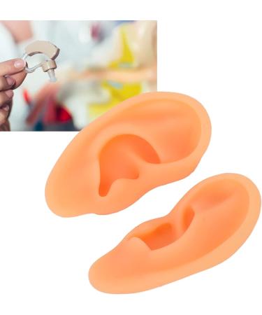Clear Structure Human Ear Model | 2 Pieces Acupuncture Ear Model | Waterproof & Flexible for Doctors - Buy Online on GoSupps.com
