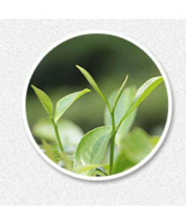 100g de th blanc Fuding de qualit sup rieure th artisanal traditionnel th parfum bio aux dattes - Buy Online on GoSupps.com