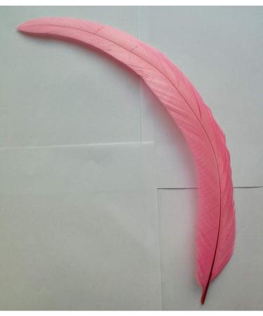 50pcs Pink Rooster Coque Tail Feathers 13-16 Inches - Hat Costume & Craft Decoration - Buy Online on GoSupps.com