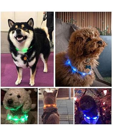 Laroo LED Dog Collar - USB Rechargeable Night Safety Luminous Collar for All Dog Sizes - 3 Modes - Blue - Buy Online on GoSupps.com