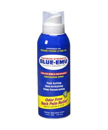 Blue Emu Micro-Foam Muscles and Joints Arthritis Maximum Pain Relief and  Support for Strains Sprains & Backaches Odor Free Non Greasy Aloe Vera 3.5  Oz 1 Ounce (Pack of 1)