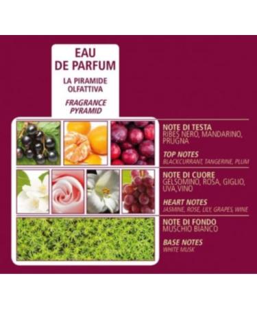 Acqua di Bolgheri Bacche di Vinum Body Lotion 200 ml Nourishing Moisturizer for Radiant Skin | Buy Internationally - Buy Online on GoSupps.com