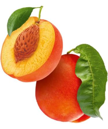 Kao Group Guhl Wonderful Care Shampoo with Peach Oil For Normal Hair 250 Milliliters - Buy Online on GoSupps.com