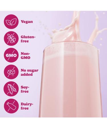 Good Protein Vegan Plant-based Protein Powder 100% Natural Non-GMO Dairy-free Gluten-free Soy-free No Added Sugar and Nothing Artificial. Mixed Berries All-in-One Shake 440 grams Mixed Berry 440 g - Buy Online on GoSupps.com