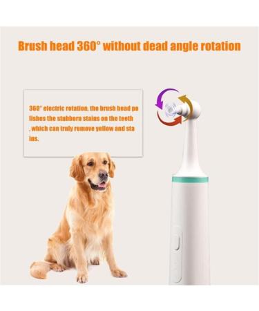 Dog Teeth Electric Polisher Tartar Remove Stain Teeth Cleaner with 4 Brush Head Tooth Scaler Puppy Dental Care Cleaning Toods Kit for Dogs Cats - Buy Online on GoSupps.com