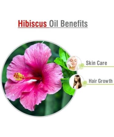 Hibiscus Sabdariffa L Essential Oil 50ML - 100% Pure Uncut Cold Pressed Premium Aromatherapy Oil - Buy Online on GoSupps.com