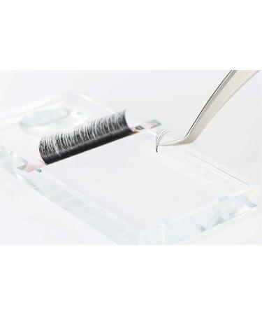 Buy 5 Trays 1 Second Blossom Eyelash Extensions Set | Easy Make Fans C Curl 10-14mm | 0.05mm Thickness | International Shipping - Buy Online on GoSupps.com