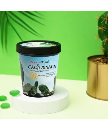 Buy Mexico Nopal Cactus Soothing Gel Cream | Korean Skin Care Refreshing Moisturizer - CACTUSNARA - Buy Online on GoSupps.com