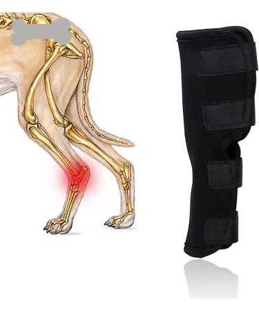 Pet Protector Knee Dog Knee Protector Pads Pet Knee Pad Pet Leg Braces Dog Knee Protector Pads Dog Leg Protector (1 pcs L) 1 pcs L - Buy Online on GoSupps.com