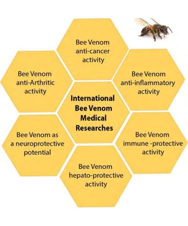 Original New Zealand Bee Venom Gel Cream - Arthritis Relief for Joints & Bones | Soothing Therapy for Neck Shoulder Knee Leg & Hip Pain - Buy Online on GoSupps.com