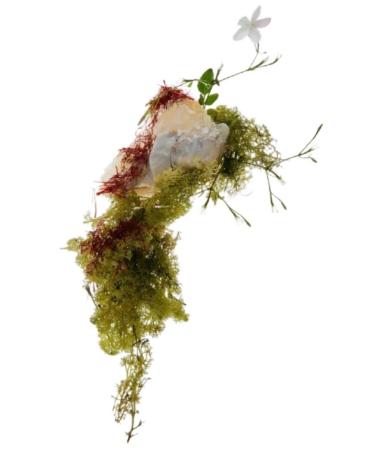 Zara Red Temptation Winter Women's Perfume | Eau de Parfum 30ml (1.0 fl oz) | Fruity Orange Floral Notes & Woody Amber Accords | Sophisticated & Long-Lasting Winter Fragrance - Buy Online on GoSupps.com