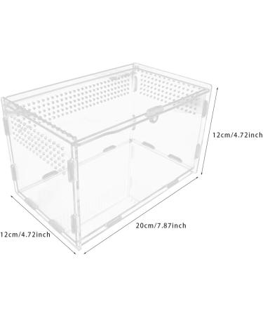 Winterworm Acrylic Reptile Feeding Box Transparent Breeding Box Terrarium with 2 Pcs Straight and Curved Tweezers for Pet Insect Spider Crickets Snails Hermit Crabs Lizard (Large(20x12x12cm)) - Buy Online on GoSupps.com
