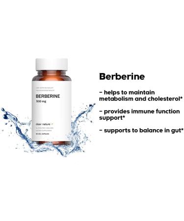 Dear Nature Berberine 500mg 90 Vegetable Capsules - Support Heart Health Immune System Healthy Cholesterol - Gluten Free & Non-GMO (Pack of 1) - Buy Online on GoSupps.com