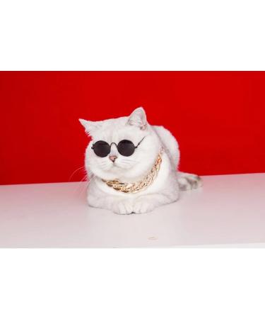 Stock Show Funny Cute Dog Cat Sunglasses - Retro Fashion Eyewear for Pet Photos - Black - Buy Online on GoSupps.com