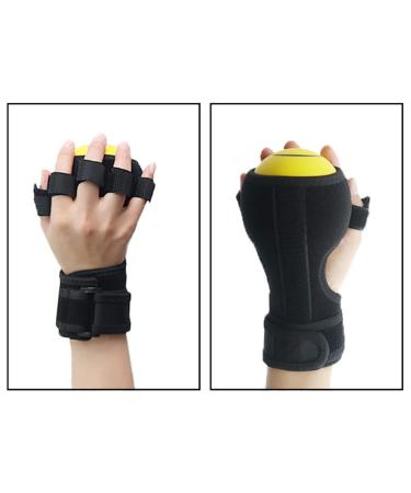 Anti-Spasticity Hand Exercise Ball Splint for Stroke Recovery & Orthosis - Wisexplorer - Buy Online on GoSupps.com