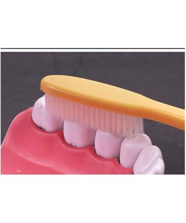 Suicra Soft Bristle Manual Toothbrush Set - Travel-Friendly Gift for Sensitive Teeth - Adults & Kids - Buy Online on GoSupps.com