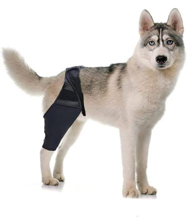 BELLIFFY Dog Injured Knee Dog Care Cat Leg Splint Leg Brace Cat Canine Carpal Hind Leg Pet XL As Shown - Buy Online on GoSupps.com