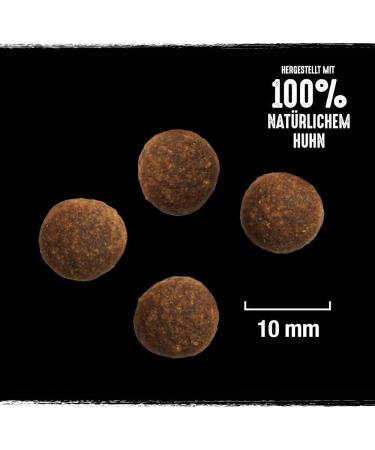 Crave Premium Grain-Free Dry Dog Food - Chicken with Bone Marrow & Primeval Cereals - High Protein - 6 x 1kg (6kg Pack) - Buy Online on GoSupps.com