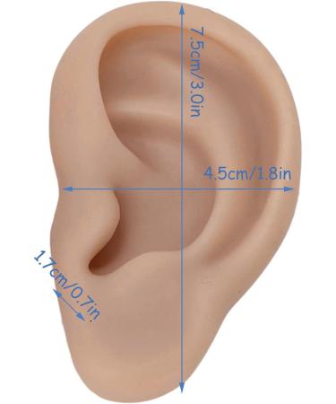 Silicone Ear Model for Earrings | Flexible Simulation Ear for Jewelry Display & Acupuncture Training - 1 Pair (Brown) - Buy Online on GoSupps.com