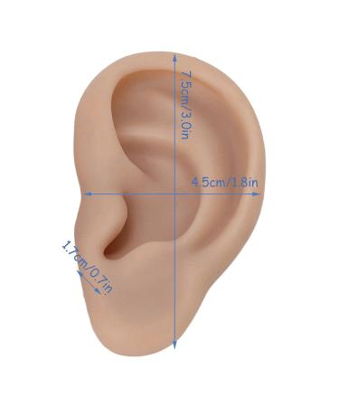 Artificial Ear Model Flexible Reusable Simulation Silicone Ear Model Convenient for Ear Piercing Exercise for Earrings Display(Deep Skin Color) - Buy Online on GoSupps.com