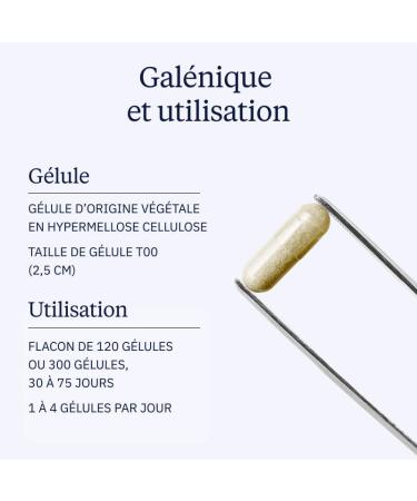 Tribulus Terrestris BIO 90% Saponines Extrait Hautement Titr Tonus Libido & Performances - 525mg - VemoHerb TS - 100% Clean Label Sans Additifs - 120 g lules (1 2 mois) - Dynveo 1 unit (Lot de 1) - Buy Online on GoSupps.com