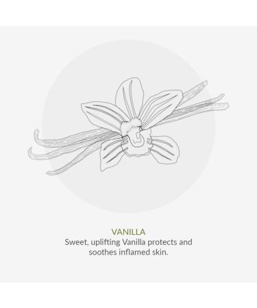 Green People Bio-Conditioner Beeren-Moothie 200ml | Natural Eczema-Friendly Conditioner for Kids | SLS & Paraben-Free | Vegan | Gentle on Sensitive Skin - Buy Online on GoSupps.com